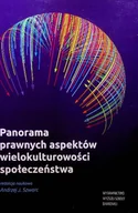 Biznes - Panorama prawnych aspektów wielokulturowości społeczeństwa - miniaturka - grafika 1