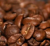 Kawa - Kolumbia Turecka Chałwa 1kg KOLUMBIA TURECKA CHA - miniaturka - grafika 1