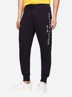 Spodnie sportowe męskie - Spodnie dresowe męskie Tommy Hilfiger MW0MW08388-DW5 XL Ciemnogranatowe (8720111201623) - miniaturka - grafika 1