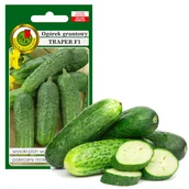 Nasiona i cebule - OGÓREK GRUNTOWY TRAPER WCZESNY NASIONA BEZ GMO 5g - miniaturka - grafika 1