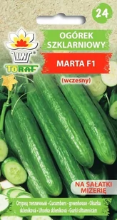 Ogórek pod osłony MARTA F1
Cucumis sativus L. - Nasiona i cebule - miniaturka - grafika 1