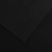 Podobrazia, bloki, papiery - Canson Karton kolorowy Colorline 50x65 BIAŁY - miniaturka - grafika 1