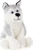 Maskotki i pluszaki - Pluszowe ZOO: Maskotka Pies husky siedzący 16cm (65814) - miniaturka - grafika 1
