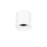 Oprawy, klosze i abażury - Lampa natynkowa Altisma 6677 95 wh 4k LED biały - miniaturka - grafika 1