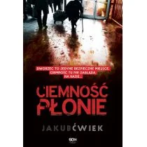 Sine Qua Non Ciemność płonie Jakub Ćwiek 154381 - Powieści Sine Qua Non Ciemność płonie Jakub Ćwiek 154381 - Powieści - miniaturka - grafika 1