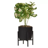 Sztuczne kwiaty - Dekoracyjna sztuczna roślina doniczkowa green zone, ø 10 cm - miniaturka - grafika 1