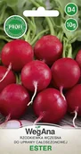 Nasiona i cebule - Rzodkiewka Ester 10g nasiona - WegAna - miniaturka - grafika 1