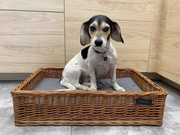 Wnuk Legowisko dla zwierząt Prostokątne 60 cm