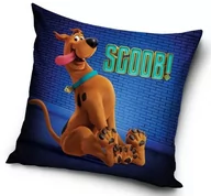 Pościel dla dzieci - CX Poszewka Scooby SD202008 40x40 cm 13811 - miniaturka - grafika 1