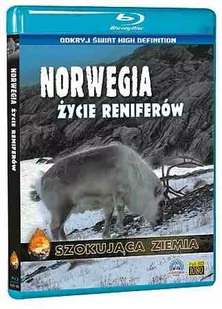 Szokująca Ziemia: Norwegia. Życie Reniferów Blu-ra - Filmy dokumentalne Blu-ray - miniaturka - grafika 1