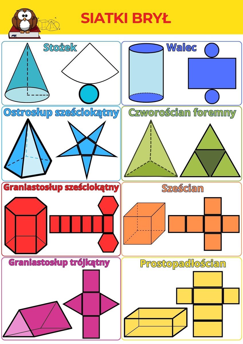 Siatki brył plansza matematyka plakat A3