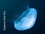 Programy graficzne - Capture One Pro 23 - oprogramowanie - miniaturka - grafika 1