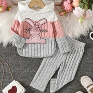 Dresy i komplety dla dziewczynek - TEMU 2-częściowy zimowy ciepły zestaw dla dziewczynek: sweter z kapturem i spodnie - miękki pastelowy róż i prążkowany strój z długim rękawem z - miniaturka - grafika 1