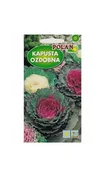 Nasiona i cebule - Kapusta ozdobna mieszanka 0,5 g POLAN - miniaturka - grafika 1