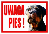 Akcesoria BHP - Tup-9 Tabliczka Ostrzegawcza Uwaga Pies Rottweiler - miniaturka - grafika 1