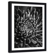 Plakaty - Plakat ozdobny w ramie czarnej FEEBY Natura kwiat zbliżenie, 60x90 cm - miniaturka - grafika 1