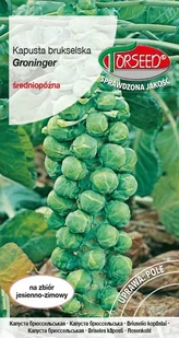 Nasiona Kapusta brukselska Groninger 2g - Torseed - Nasiona i cebule - miniaturka - grafika 1