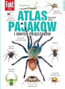 Fakt Album - Czasopisma - miniaturka - grafika 1