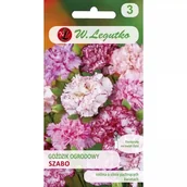 Nasiona i cebule - Goździk ogrodowy Szabo - mieszanka o kw pstrych - miniaturka - grafika 1