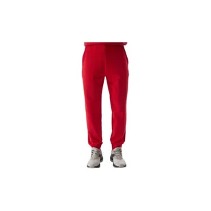 Spodnie dresowe męskie 4F joggery TTROM603-61S - Spodnie sportowe męskie - miniaturka - grafika 1