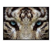 Plakaty - Fox Art Studio, Plakat, Oczy Tygrysa, wymiary 70x100 cm - miniaturka - grafika 1