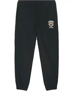 AMERICAN COLLEGE USA Spodnie dresowe męskie, czarny, S - Spodnie sportowe męskie - miniaturka - grafika 1