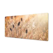 Podkładki na biurko - Podkładka z winylu na biurko Poranek natura trawy, ArtprintCave - miniaturka - grafika 1