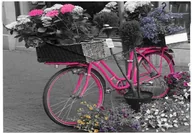 Artykuły biurowe - Panta Plast Koperta A4 na napę z nadrukiem Bike - miniaturka - grafika 1