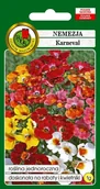 Nasiona i cebule - Nemezja Karneval Mieszana 1 g PNOS - miniaturka - grafika 1