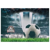 Przyborniki na biurko - PODKŁAD OKLEJANY PIŁKA 18 - miniaturka - grafika 1