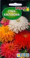 Nasiona i cebule - Cynia kaktusowa mieszanka 1 g POLAN - miniaturka - grafika 1