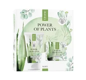 Żele do mycia twarzy - Lirene - Power of Plants Aloe - Zestaw prezentowy - Nawilżający żel myjący 150 ml + Krem nawilżający 50 ml - miniaturka - grafika 1