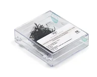 Sztuczne rzęsy i akcesoria - Wonder Lashes Rzęsy 10w1 C, 0,07, 11mm - miniaturka - grafika 1