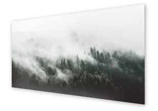 Panel kuchenny HOMEPRINT Krajobraz lasu we mgle 125x50 cm - Obrazy i zdjęcia na płótnie - miniaturka - grafika 1