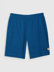 SPODENKI MĘSKIE TSHOM536 4F M - Spodenki męskie - miniaturka - grafika 1