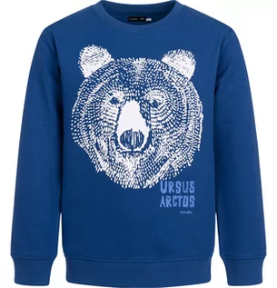 Bluzy dla chłopców - Bluza dla chłopca z niedźwiedziem, niebieska 3-8 lat - grafika 1