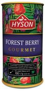Herbata - HYSON TEA (PVT) LTD, SRI LANKA Hyson Herbata Czarna Owoce Leśne duże liście 100g HYSON-03-11 - miniaturka - grafika 1