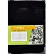 Notesy i bloczki - ANTRA ANTRA Notes Reporterski A6 Kratka Romantyzm 244392 - miniaturka - grafika 1