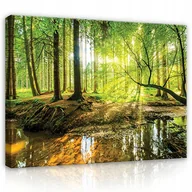 Obrazy i zdjęcia na płótnie - Obraz Do Sypialni Przedpokoju Las Natura Na Płótnie Ścianę Duży XXL 120x80 - miniaturka - grafika 1