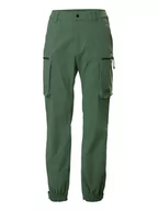 Odzież trekkingowa męska - Helly Hansen Spodnie funkcyjne "Move 2.0" w kolorze zielonym - miniaturka - grafika 1