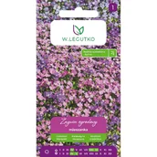 Nasiona i cebule - Nasiona Żagwin ogrodowy mieszanka 0,3g - W.Legutko - miniaturka - grafika 1