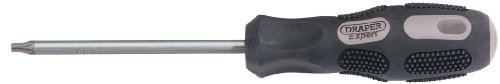 DRAPER WKRĘTAK Torx T25, 100 MM, EXPERT 40053