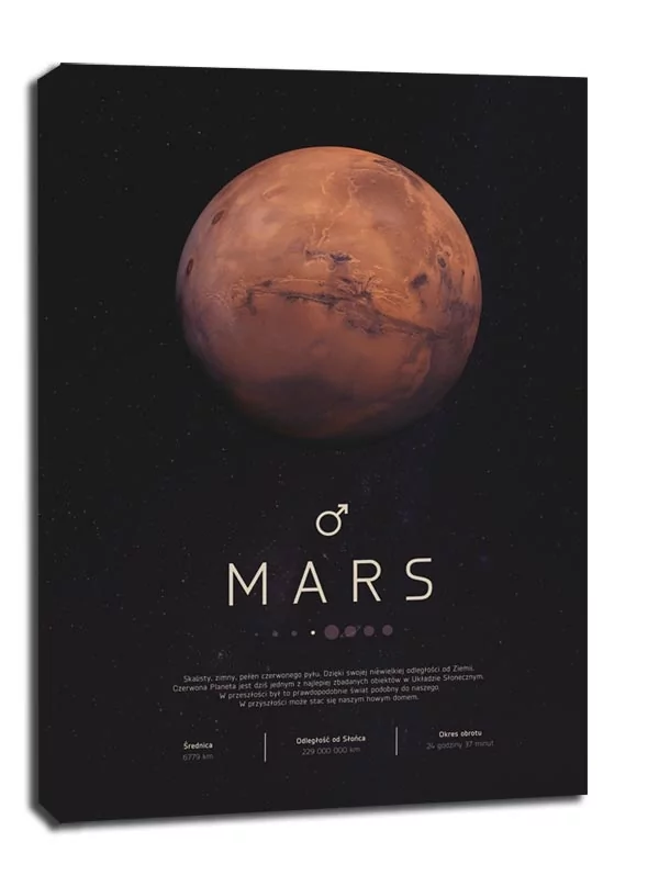 Mars - obraz na płótnie Wymiar do wyboru: 60x80 cm
