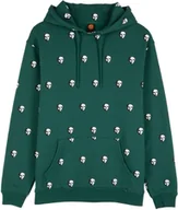 Bluzy męskie - bluza męska SANTA CRUZ WATCHER HOOD Rainforest - miniaturka - grafika 1