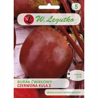 Nasiona i cebule - Nasiona Burak ćwikłowy - Czerwona Kula - miniaturka - grafika 1