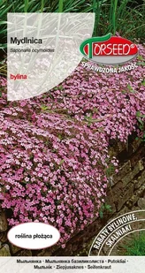 Nasiona Mydlnica różowoczerwona 0,5g - Torseed - Nasiona i cebule - miniaturka - grafika 1