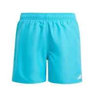 Kąpielówki dla chłopców - Szorty Swim Kids - miniaturka - grafika 1