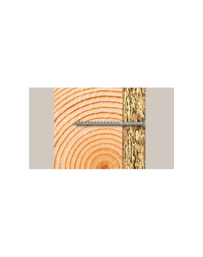 Fischer PowerFast II 5,0x60 SK TX TG blvz 200