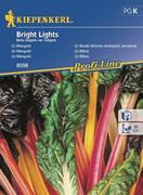 Nasiona i cebule - Kiepenkerl Boćwina burak liściowy Bright Lights 102040 - miniaturka - grafika 1
