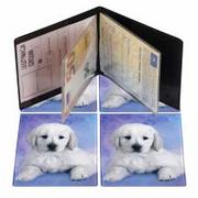 Etui na dokumenty i karty - Okładka na dokumenty ucznia pionowa Puppy KM PLASTIK 528919 - miniaturka - grafika 1